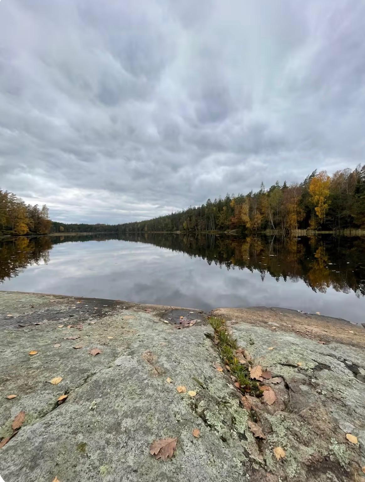 Sweden estate