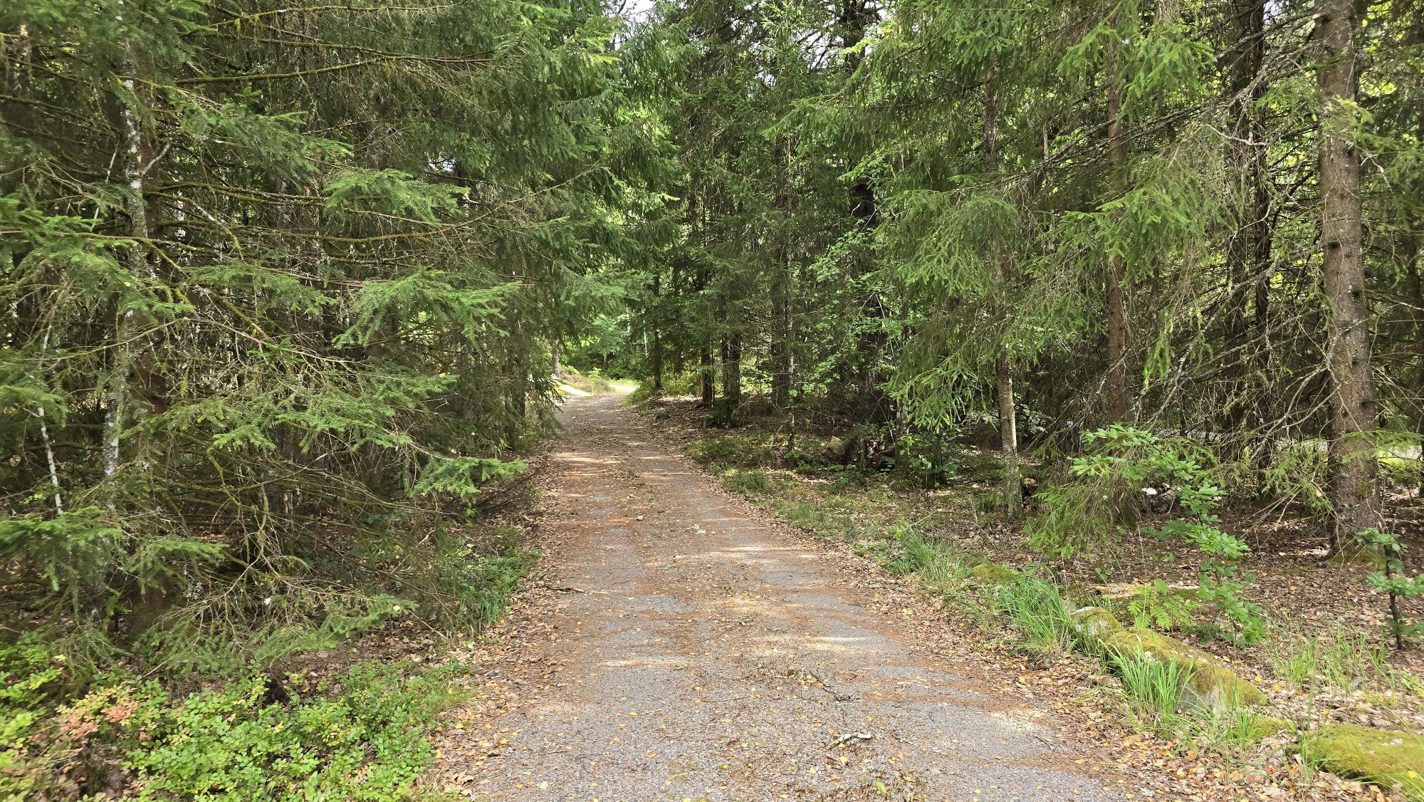 Sweden estate