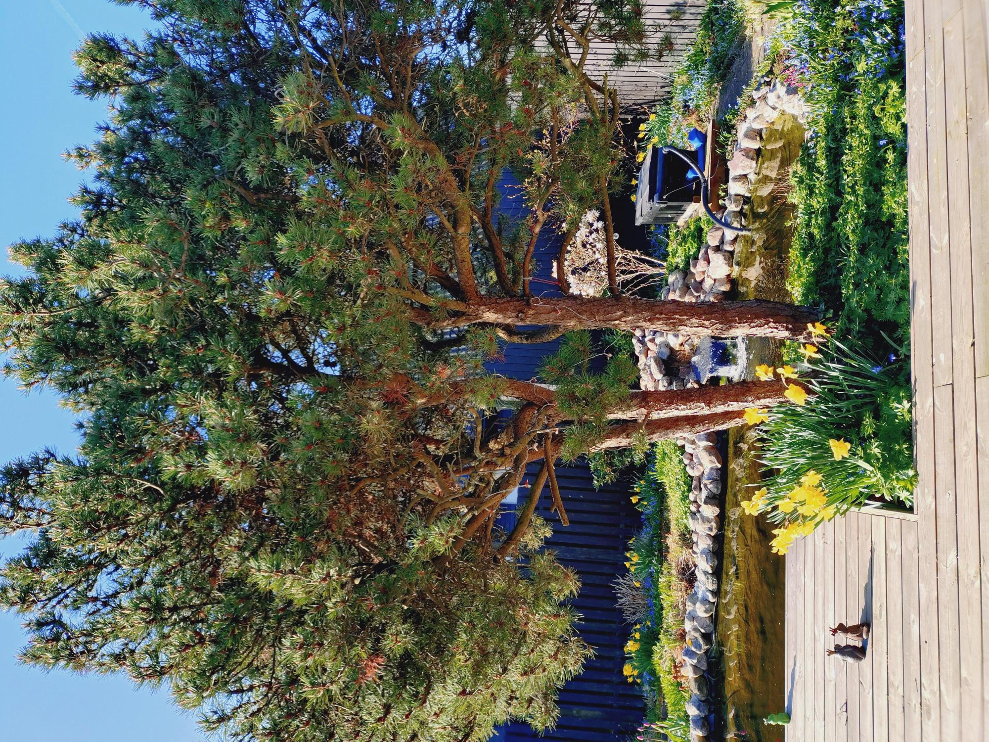 Sweden estate