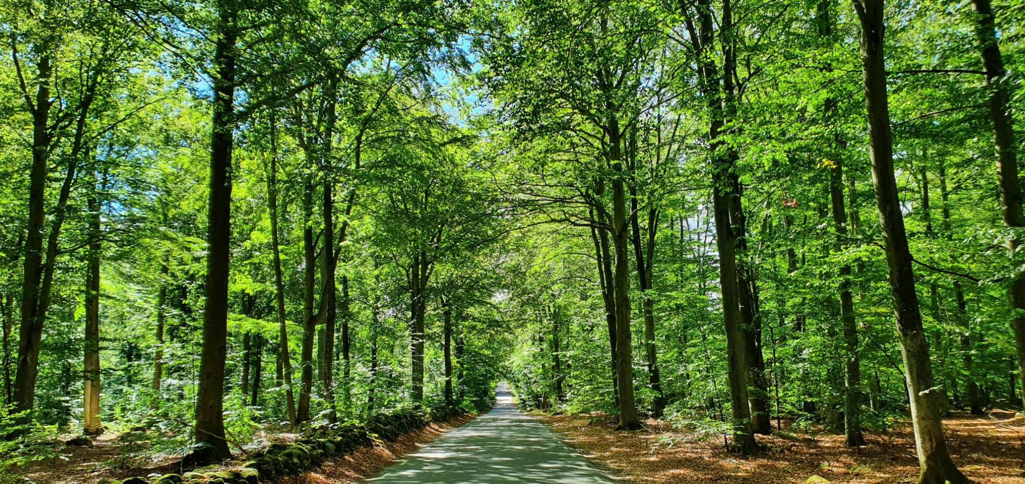 Sweden estate