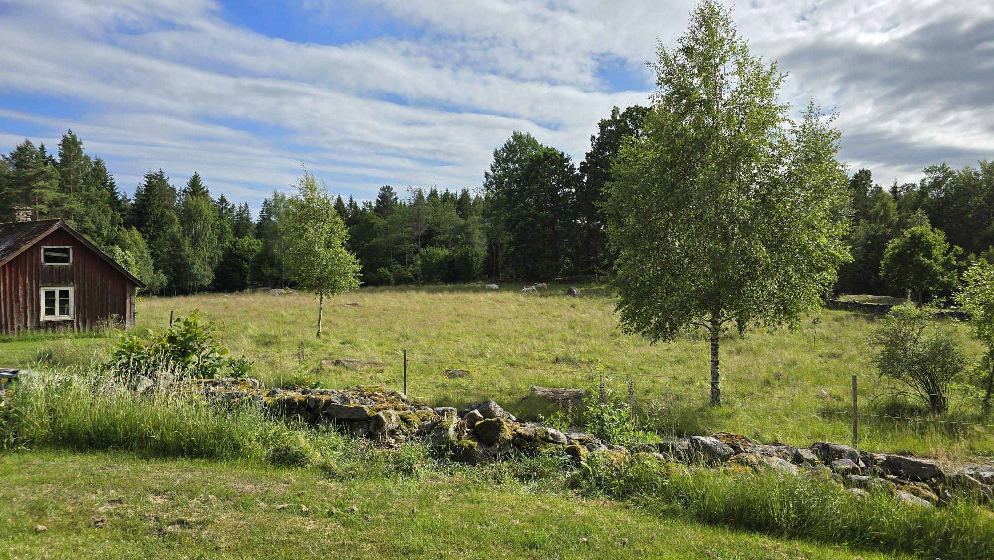 Sweden estate
