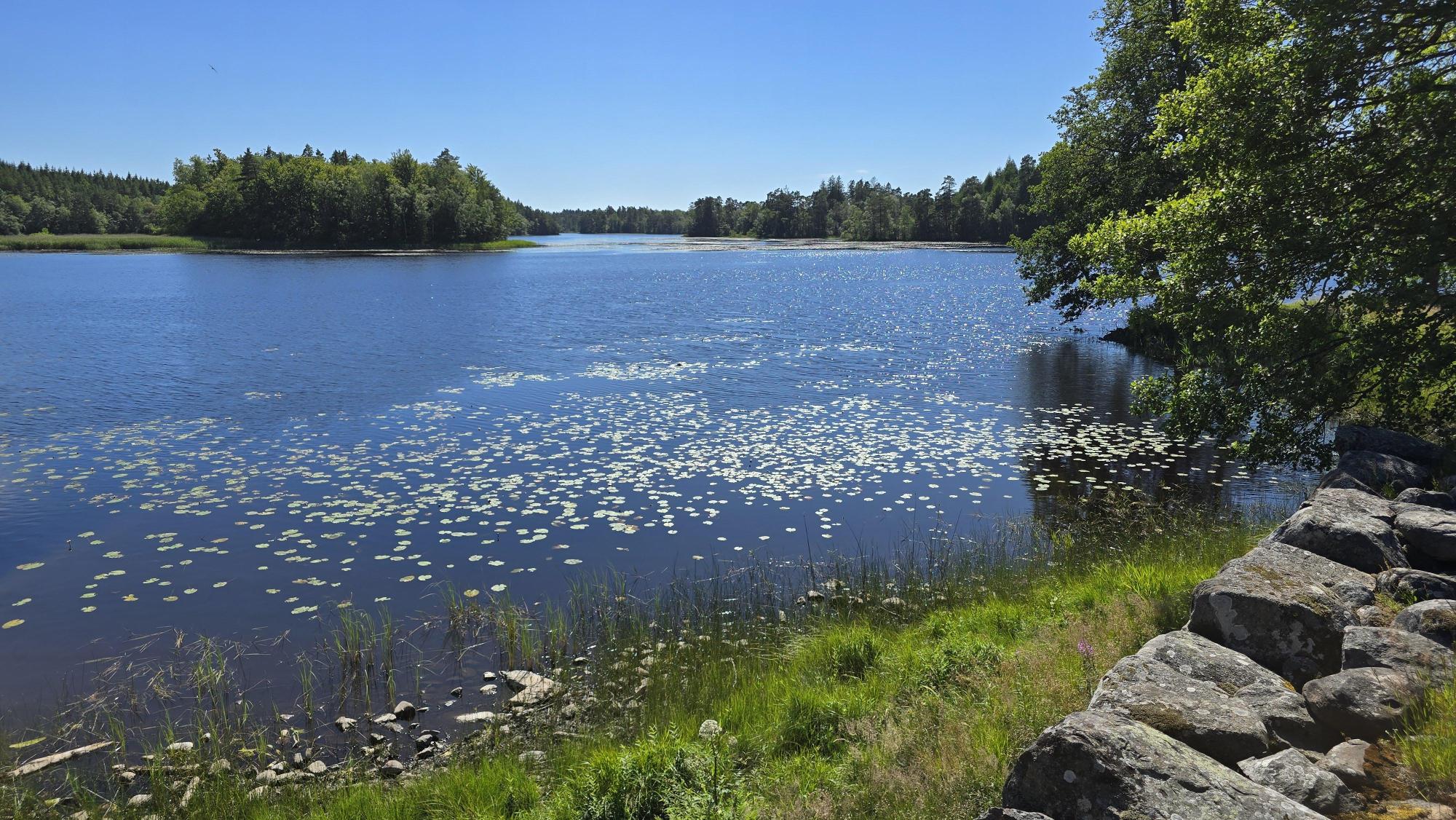 Sweden estate