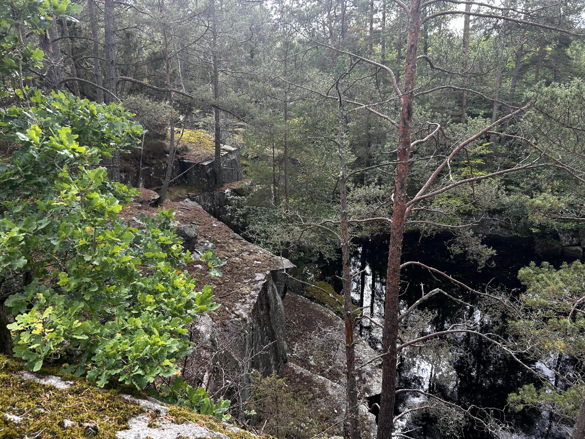 Sweden estate