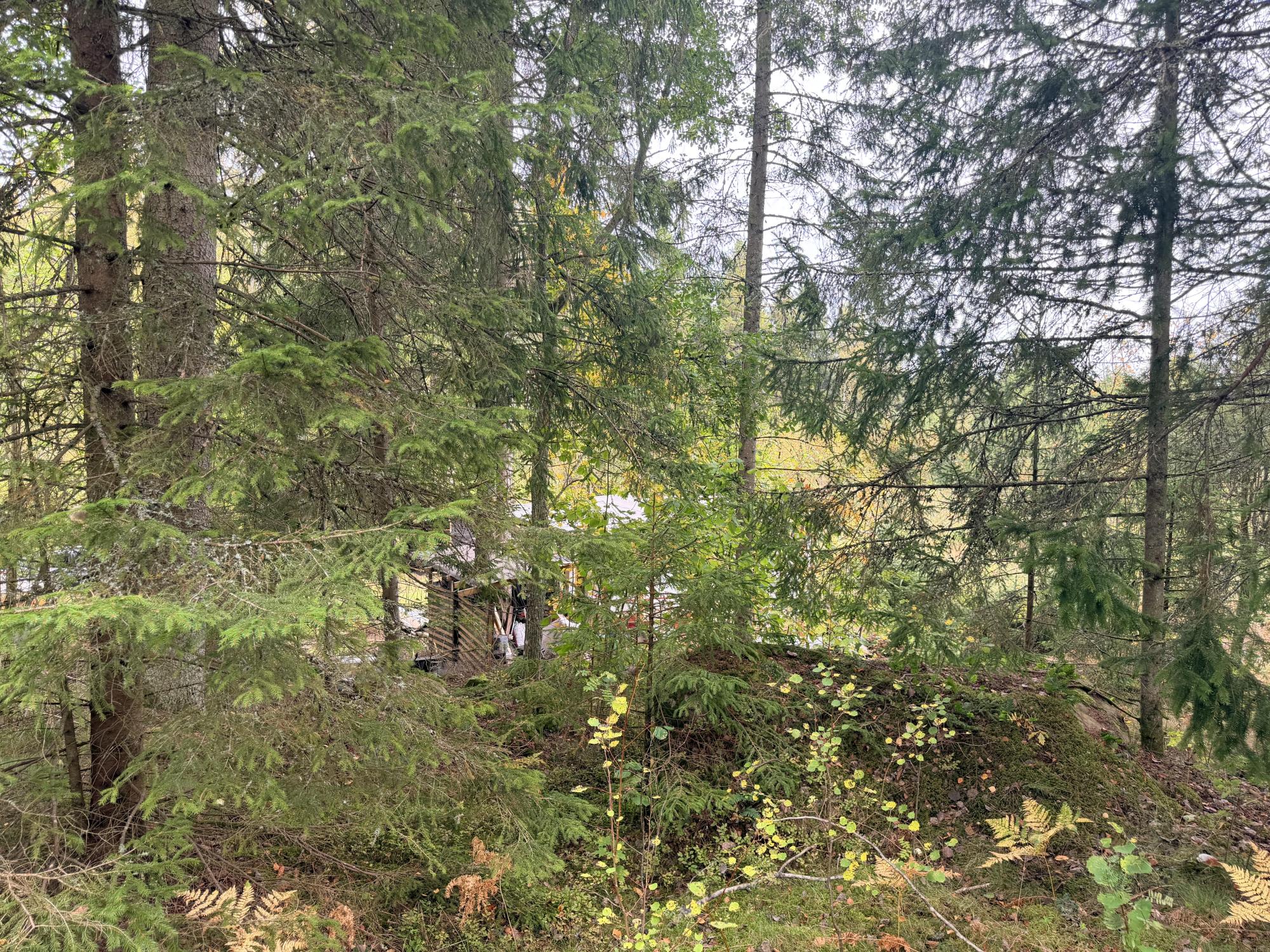 Sweden estate