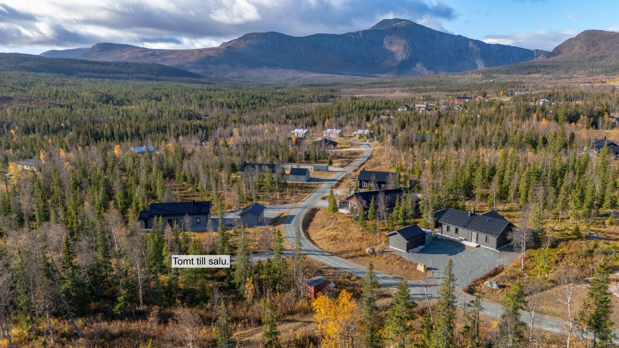 Sweden estate