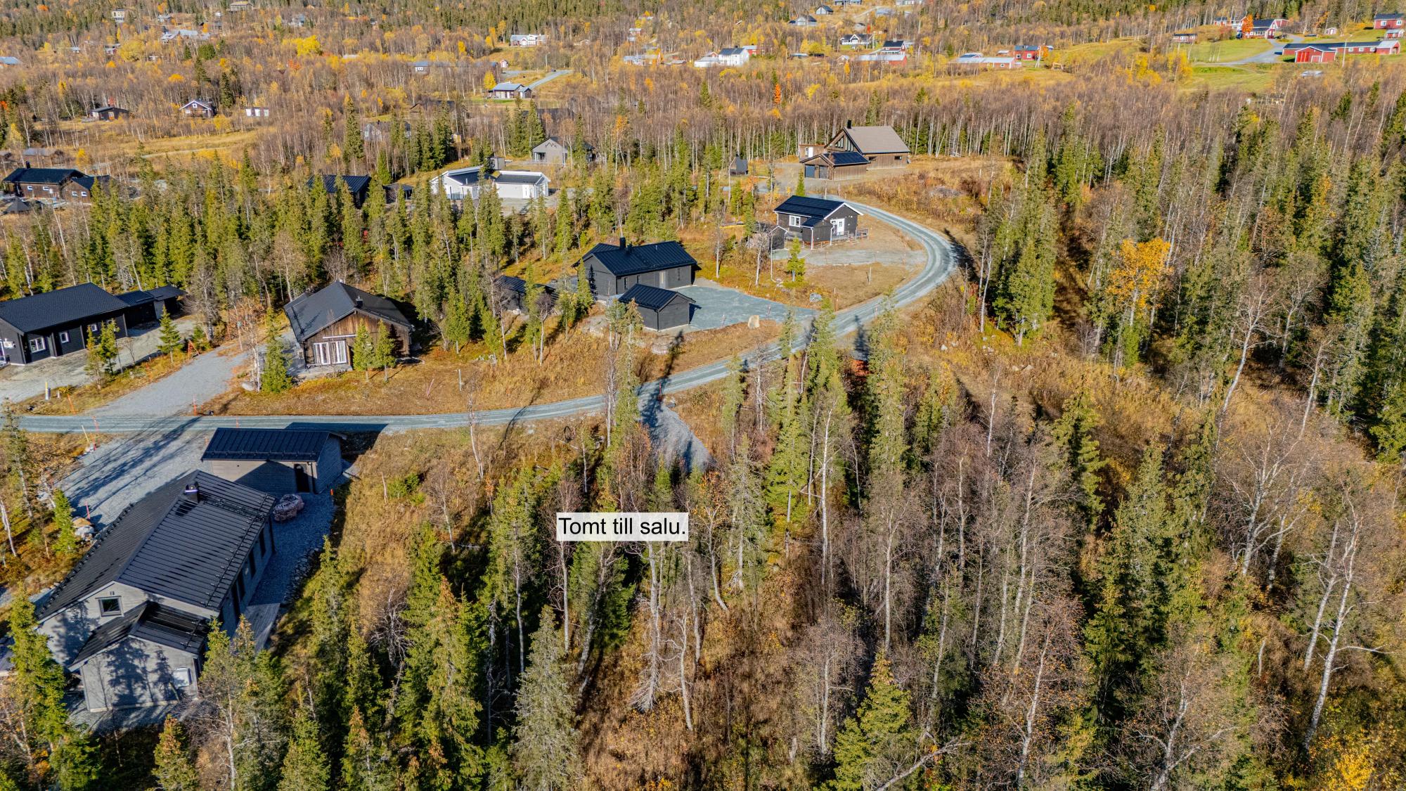 Sweden estate