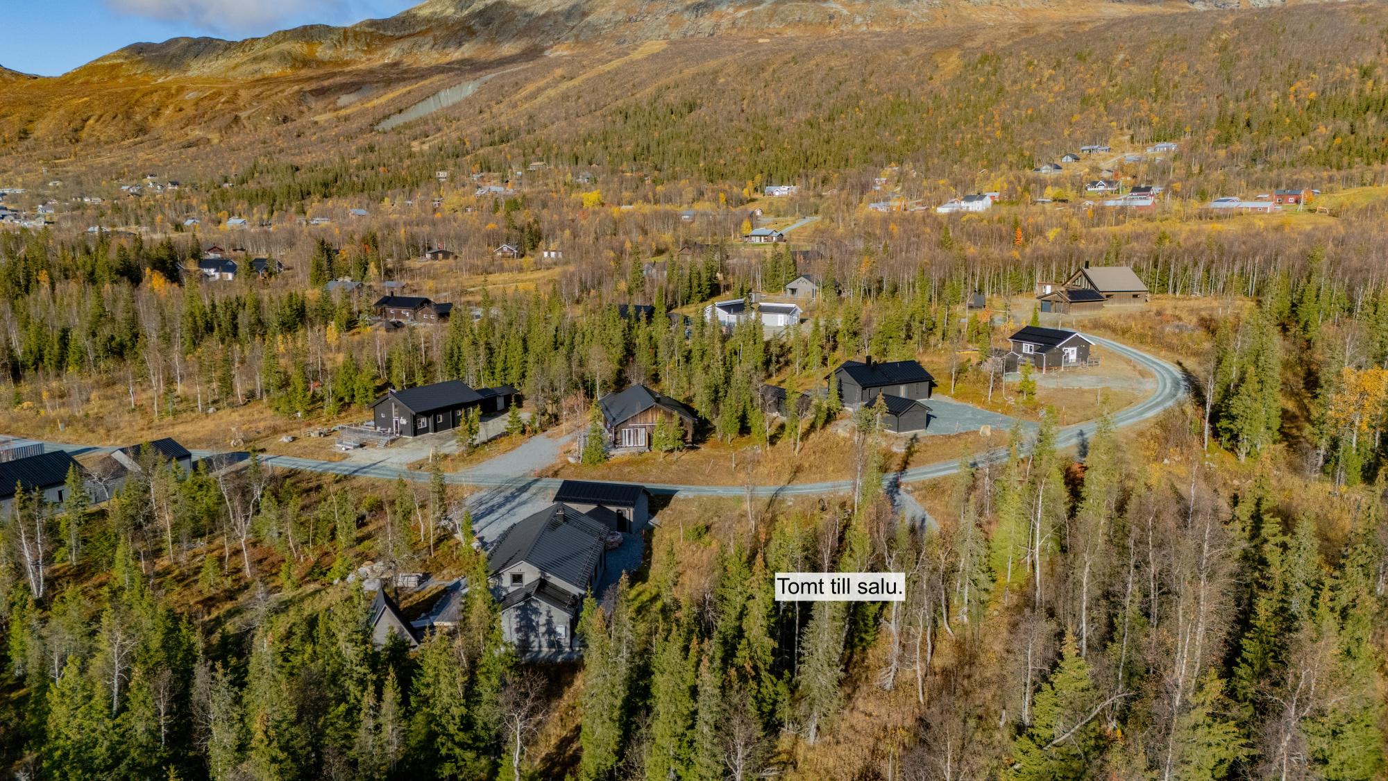 Sweden estate