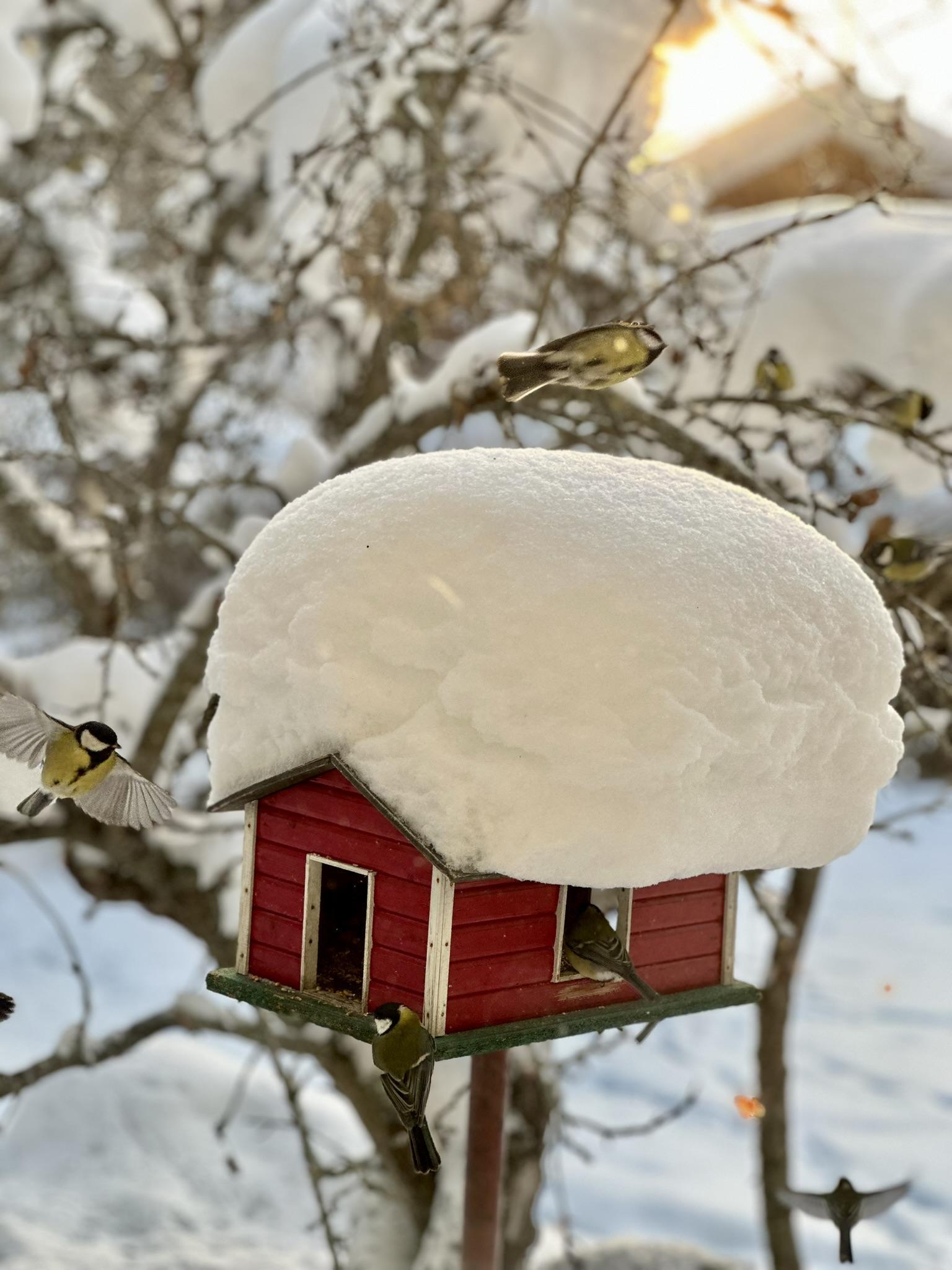 Sweden estate