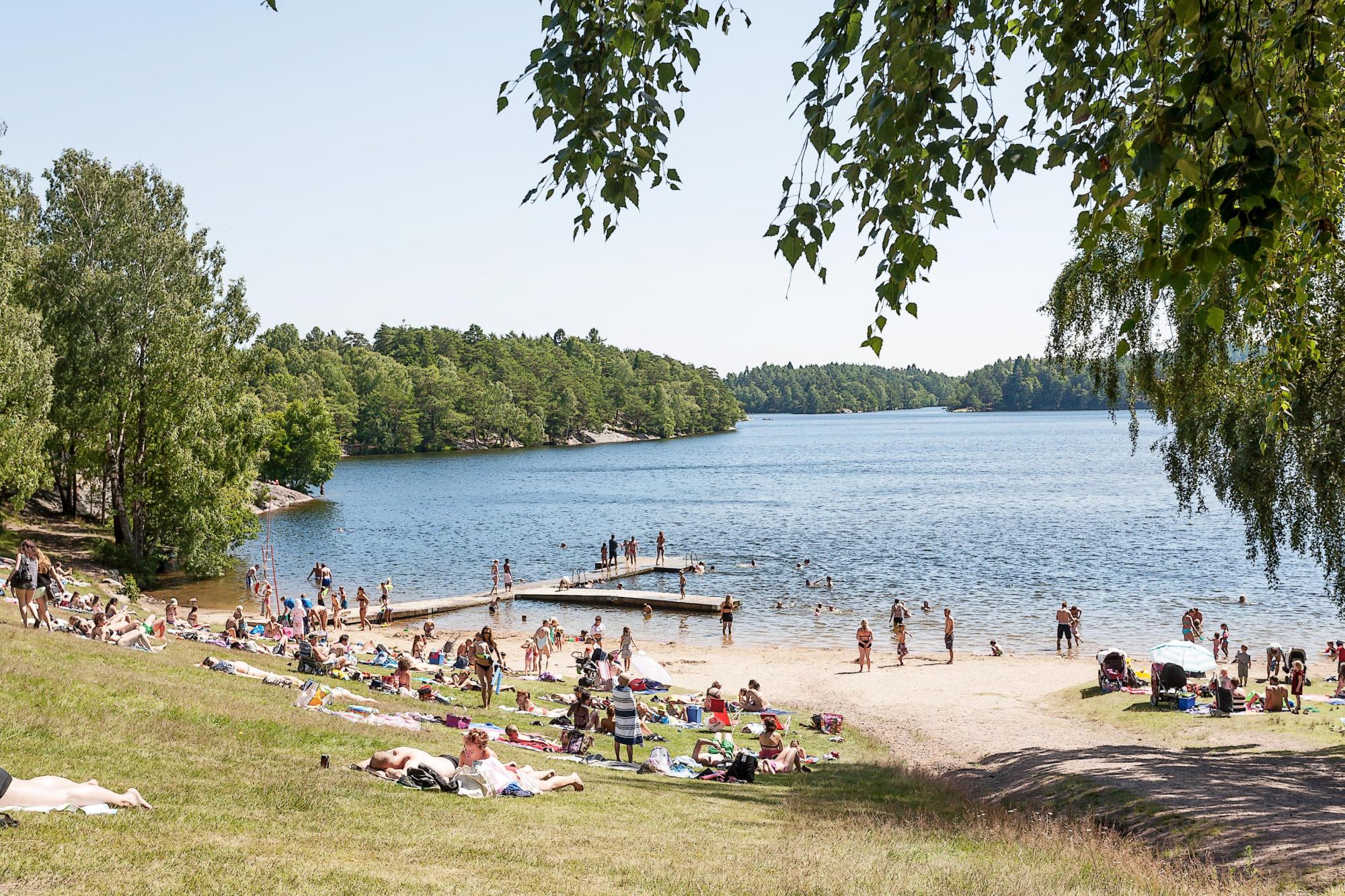 Sweden estate