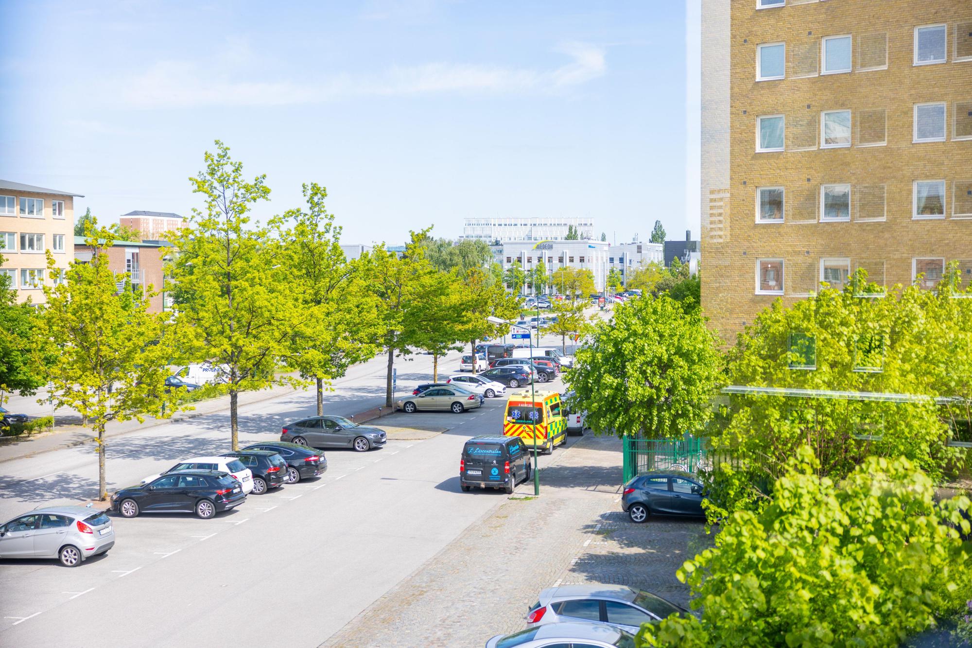Sweden estate