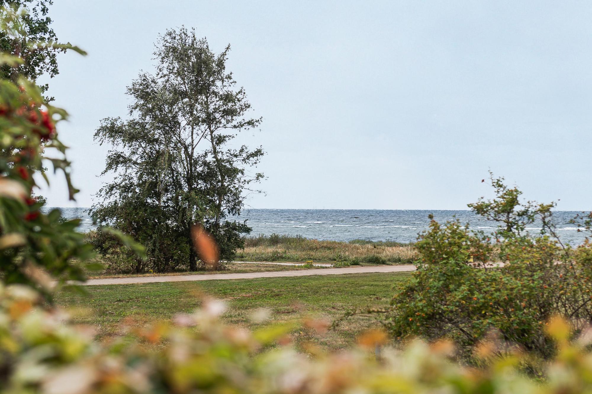 Sweden estate