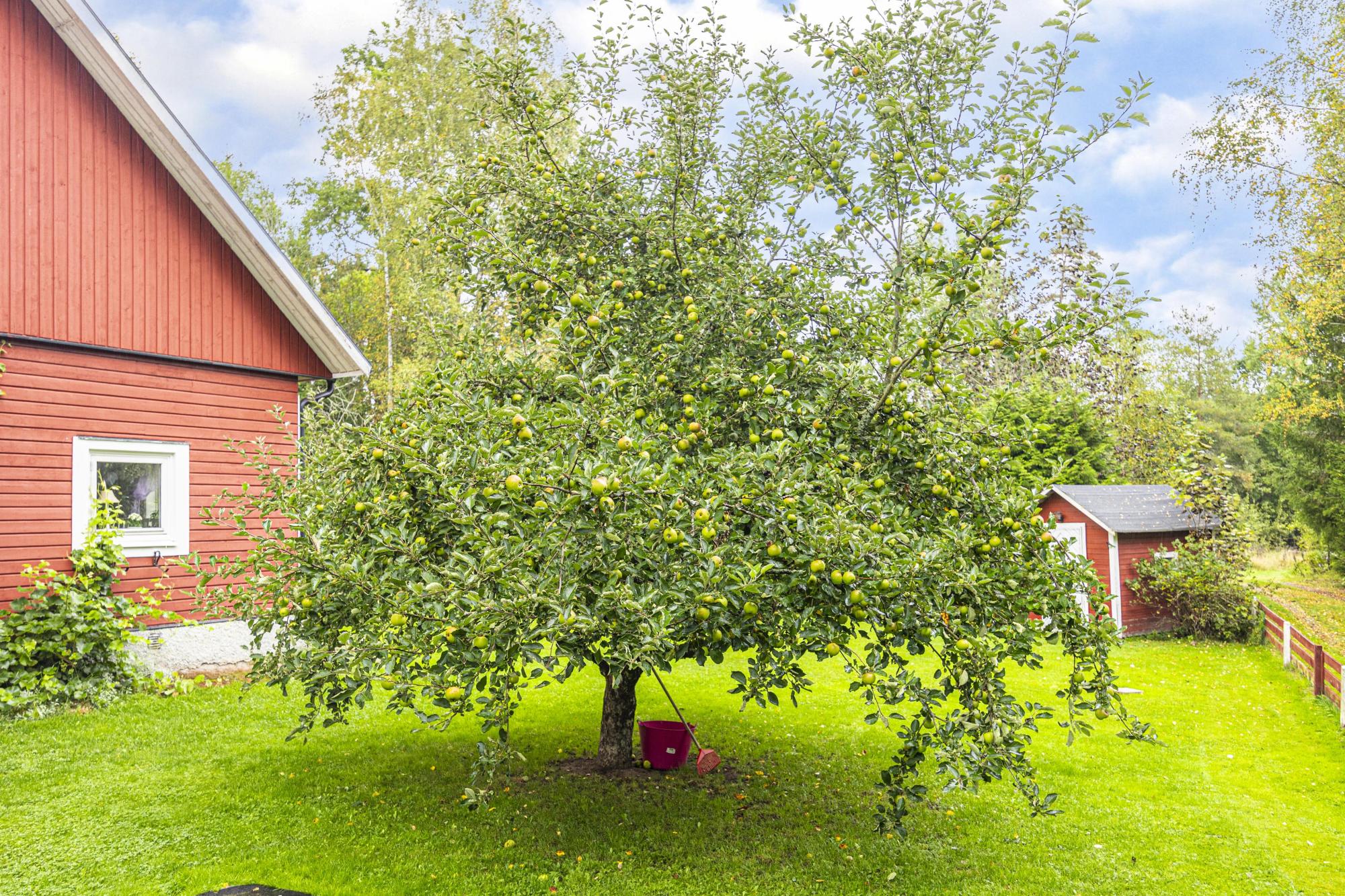 Sweden estate