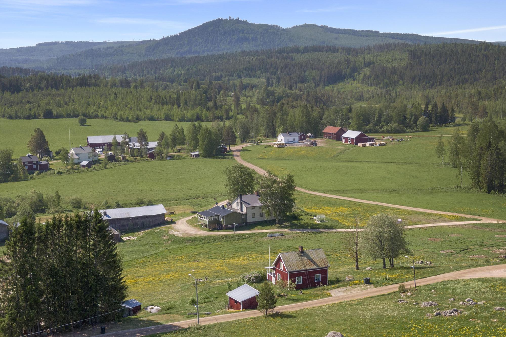 Sweden estate