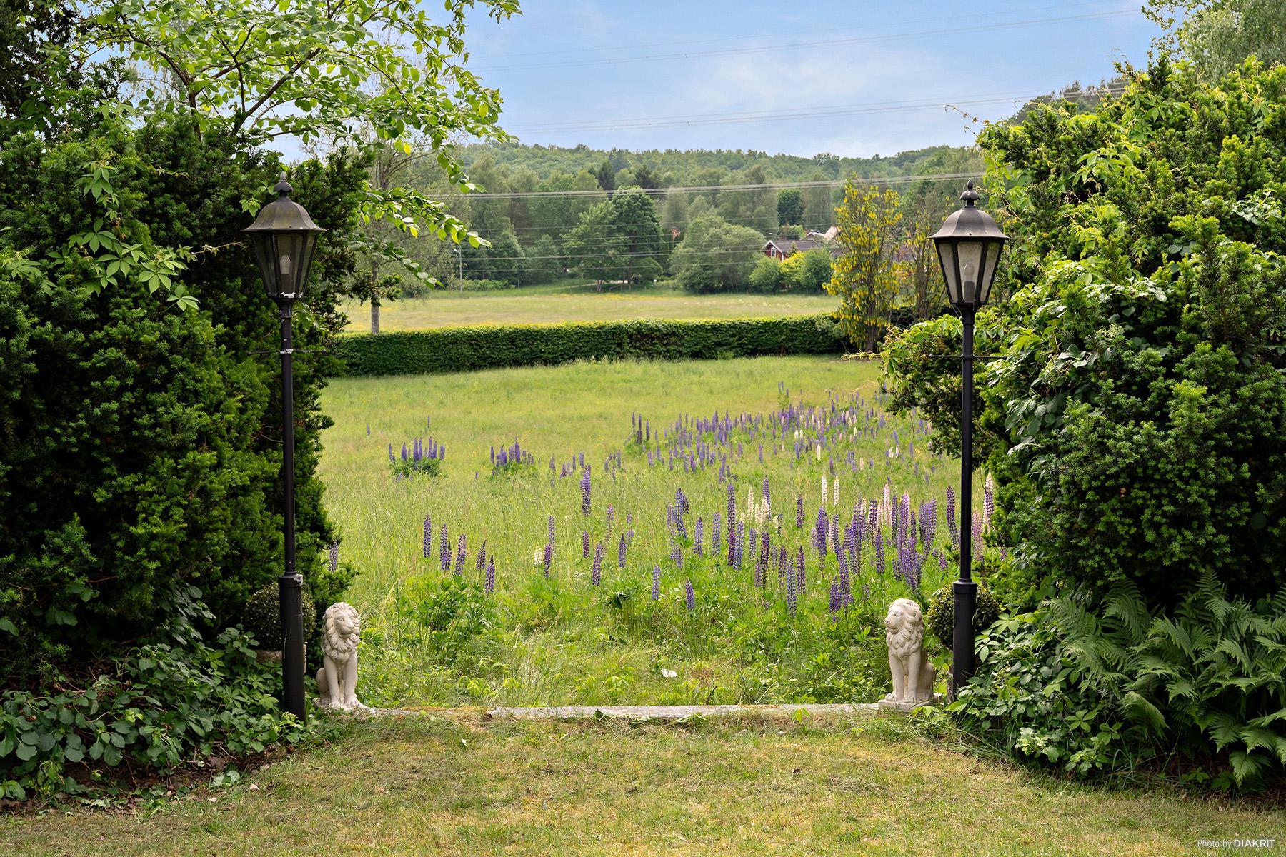 Sweden estate