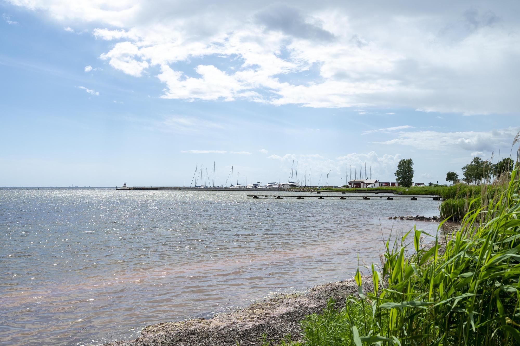 Sweden estate