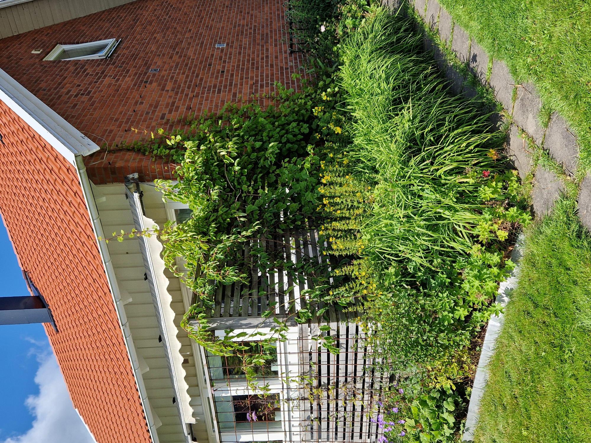 Sweden estate