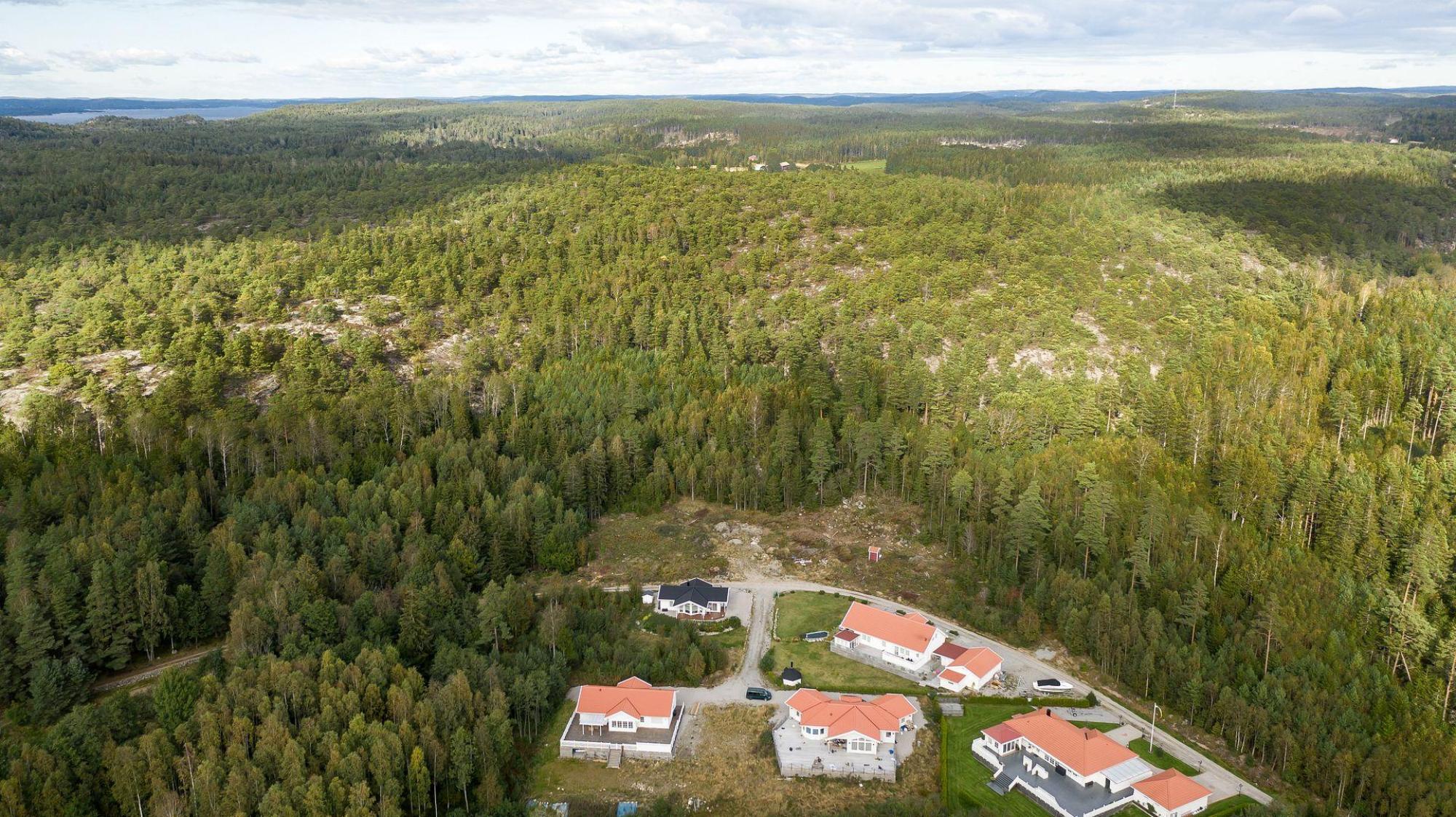 Sweden estate