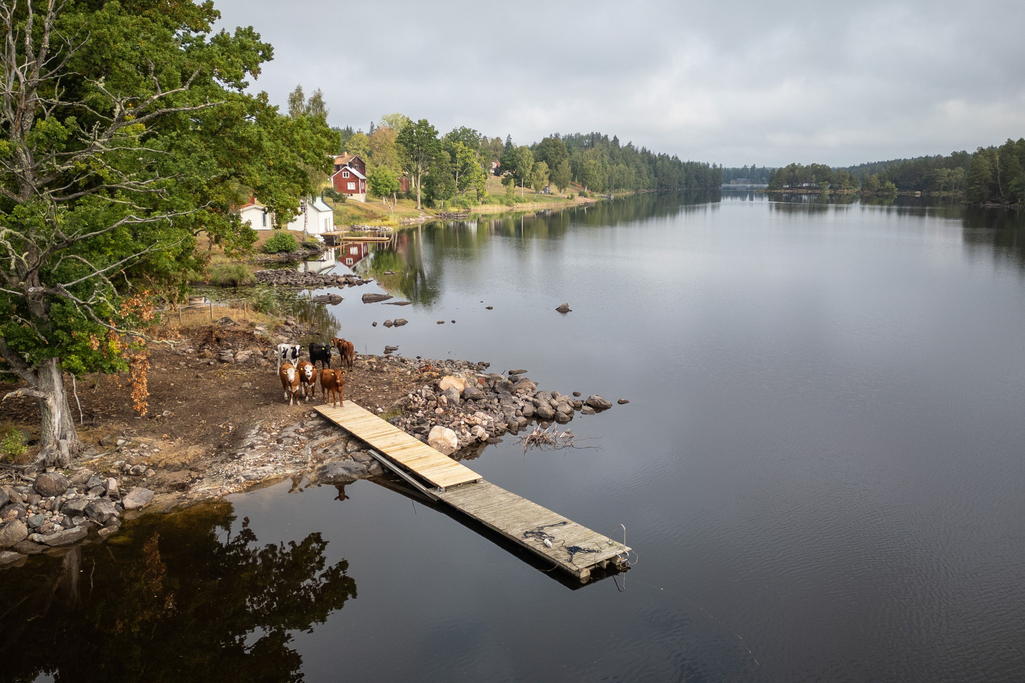 Sweden estate