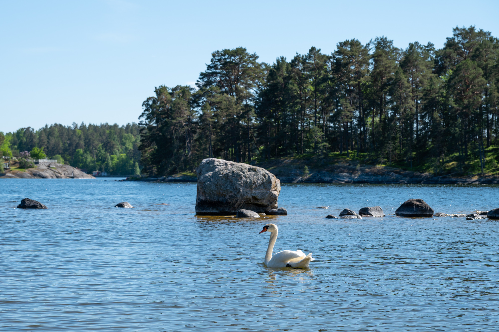 Sweden estate