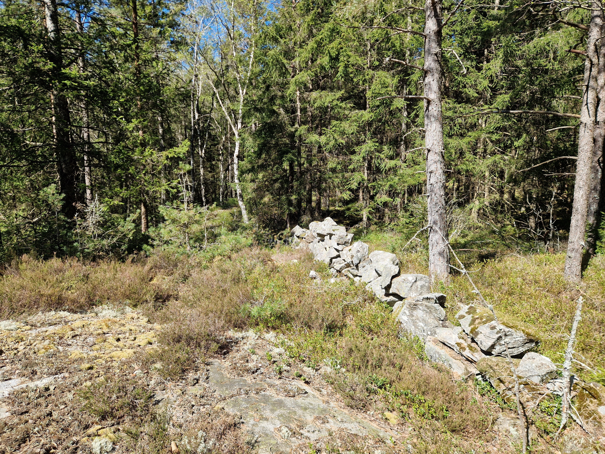 Sweden estate