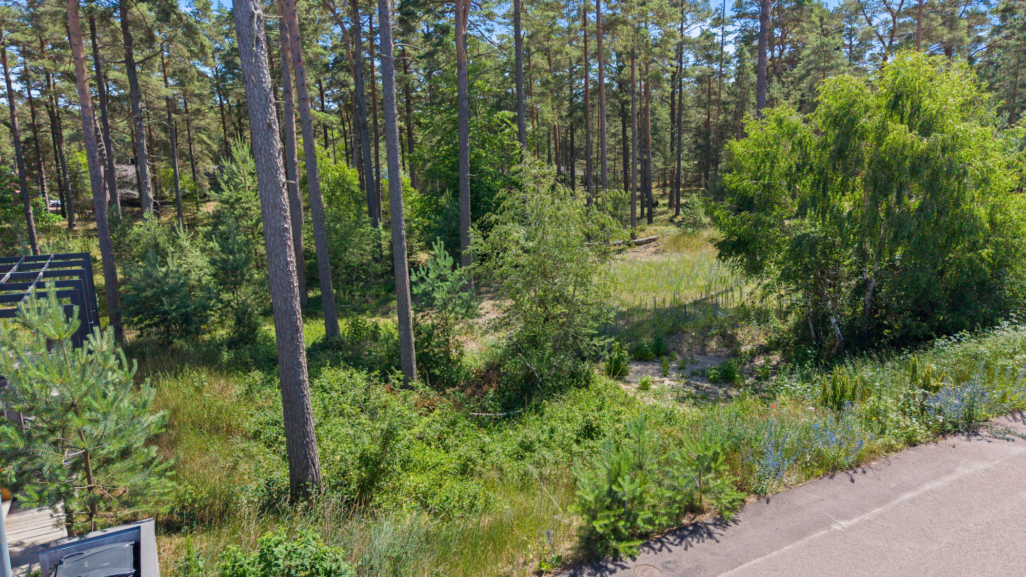 Sweden estate
