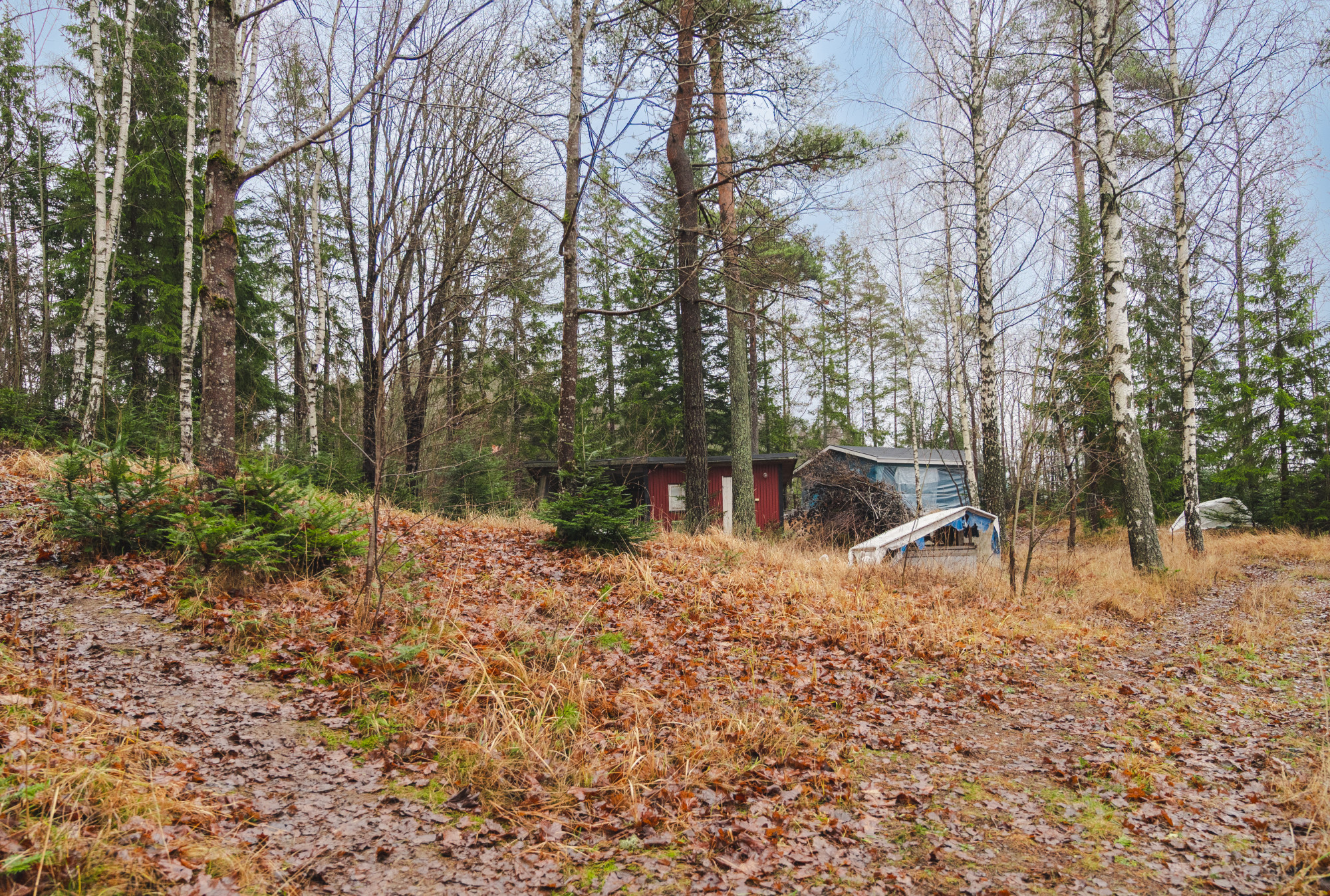 Sweden estate