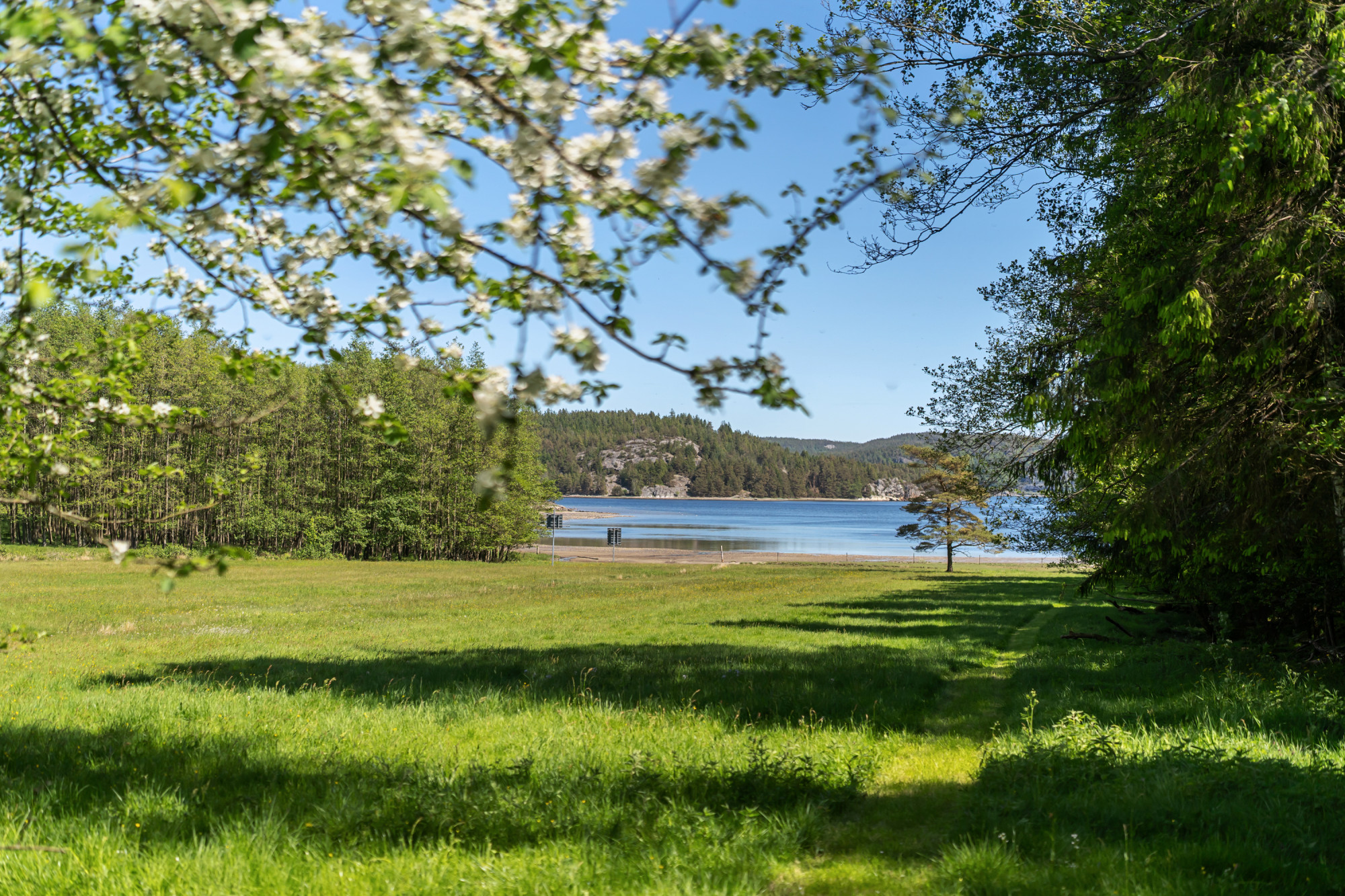 Sweden estate