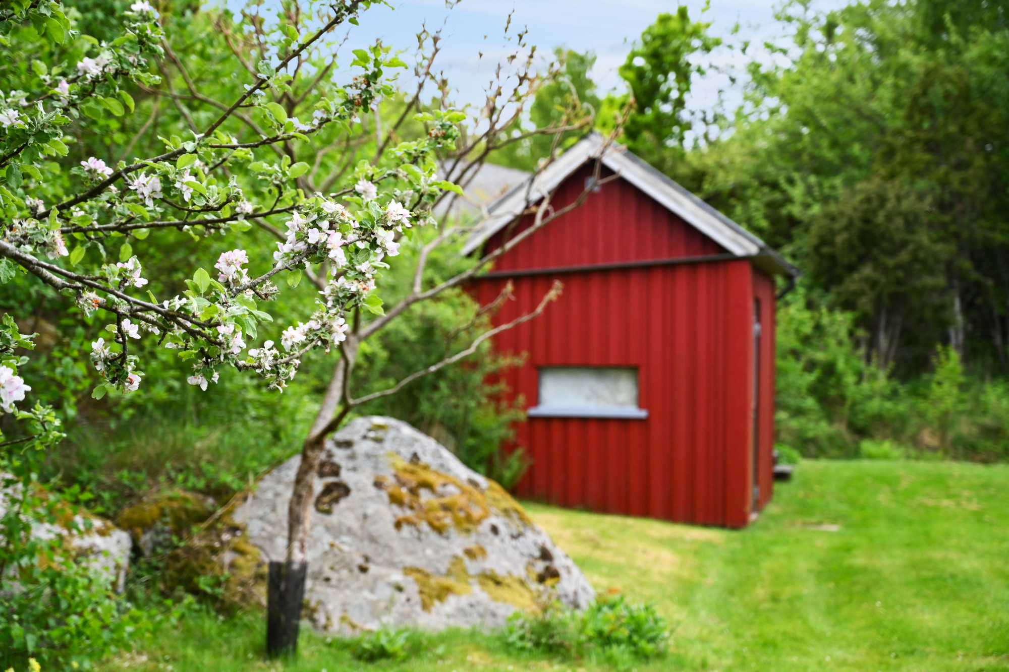 Sweden estate