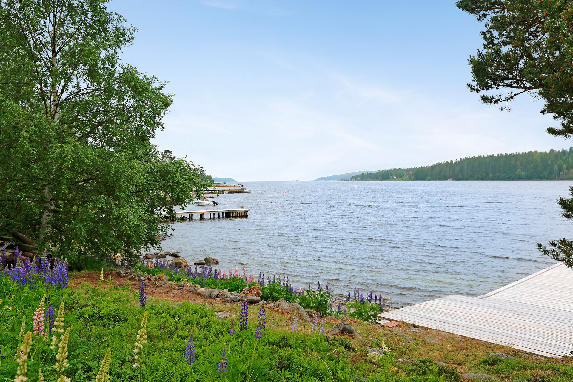 Sweden estate
