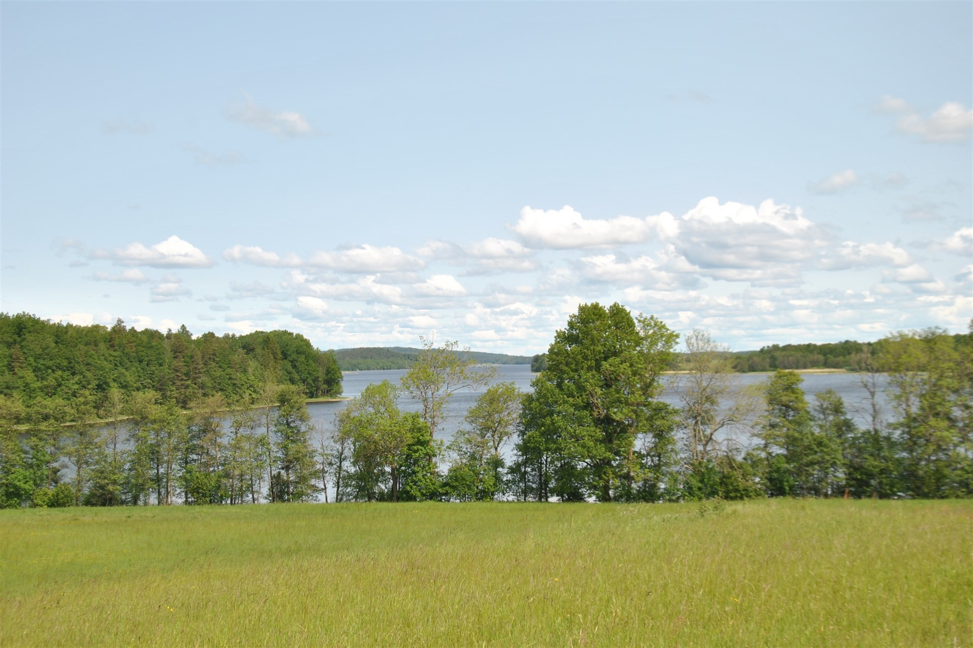 Sweden estate