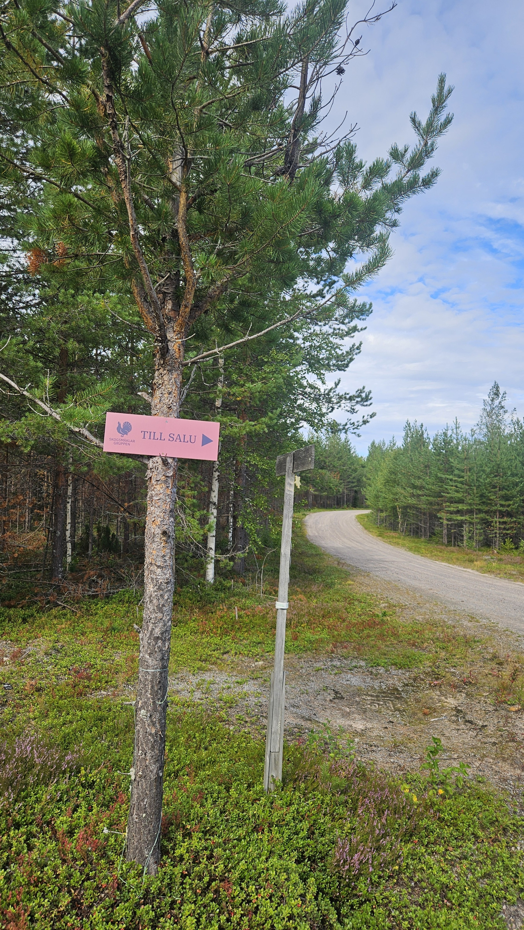 Sweden estate