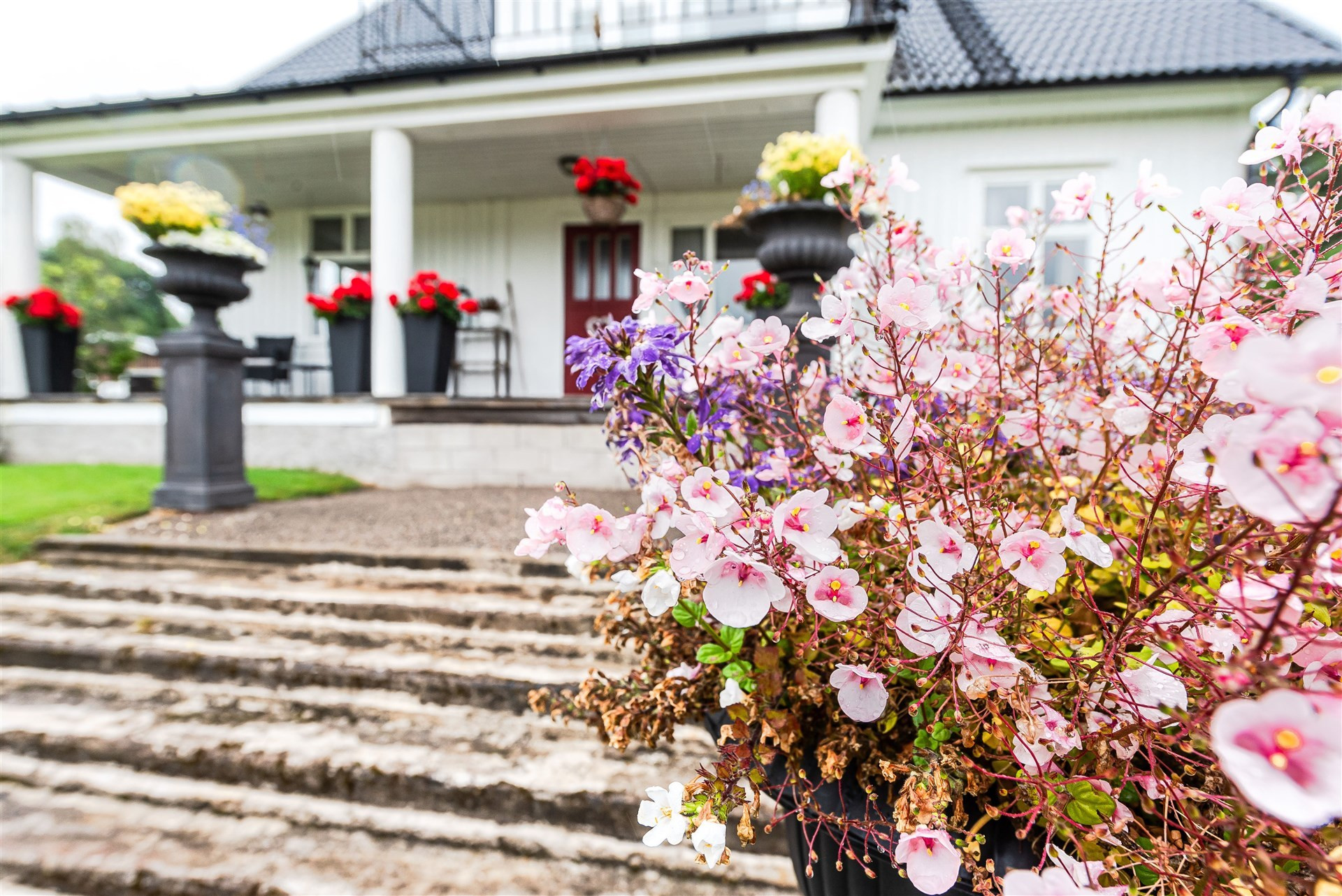 Sweden estate