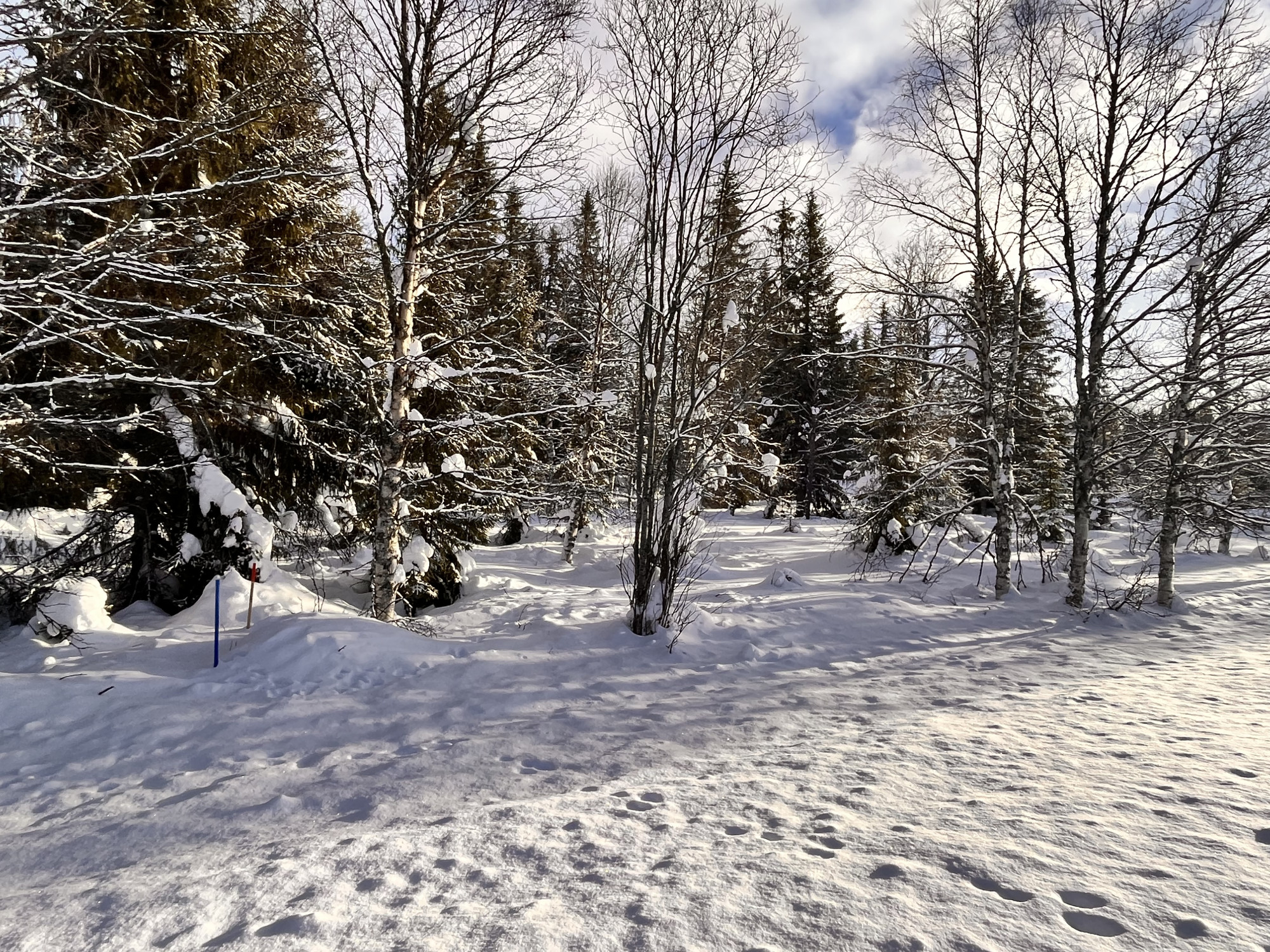 Sweden estate