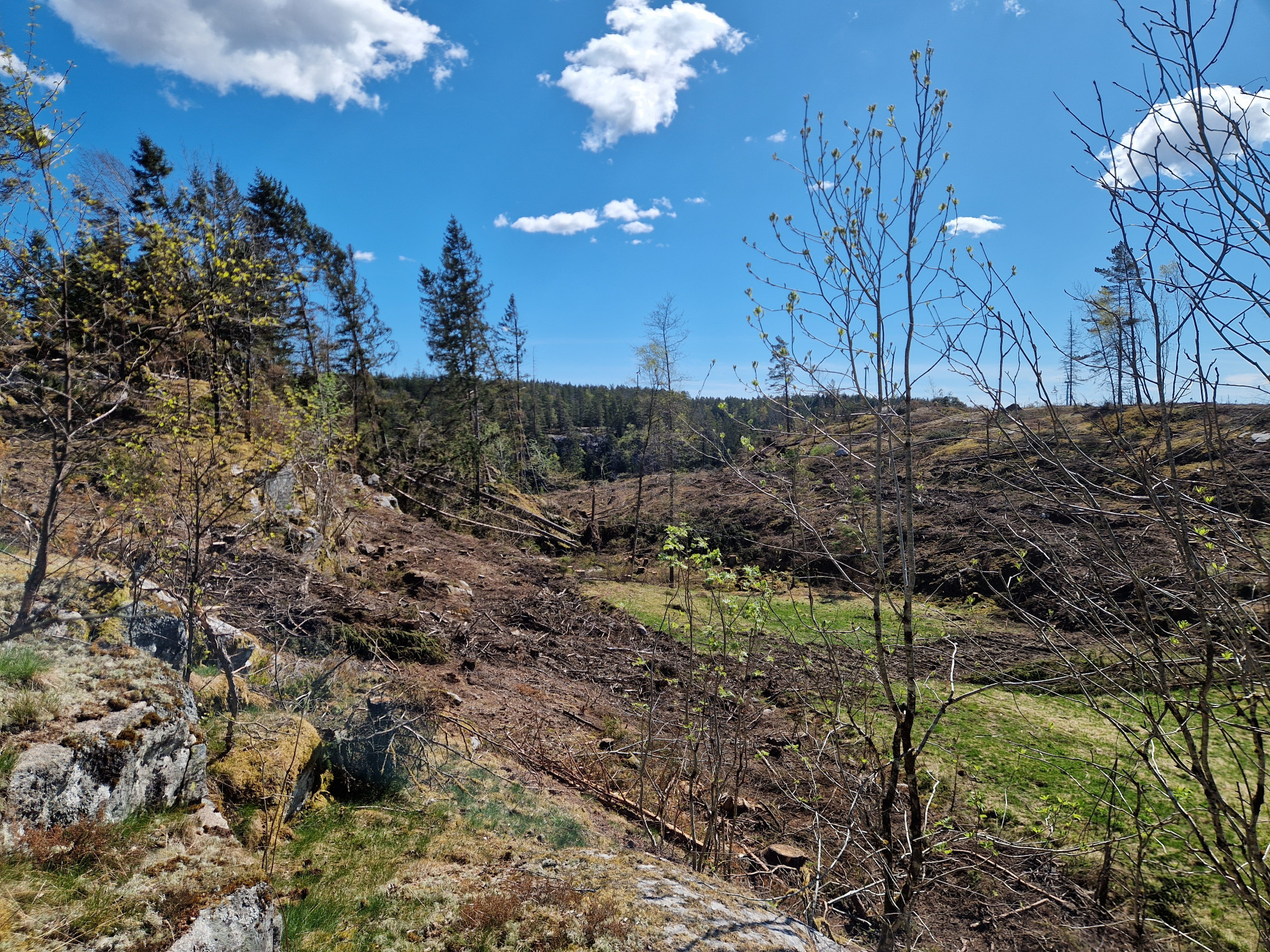 Sweden estate