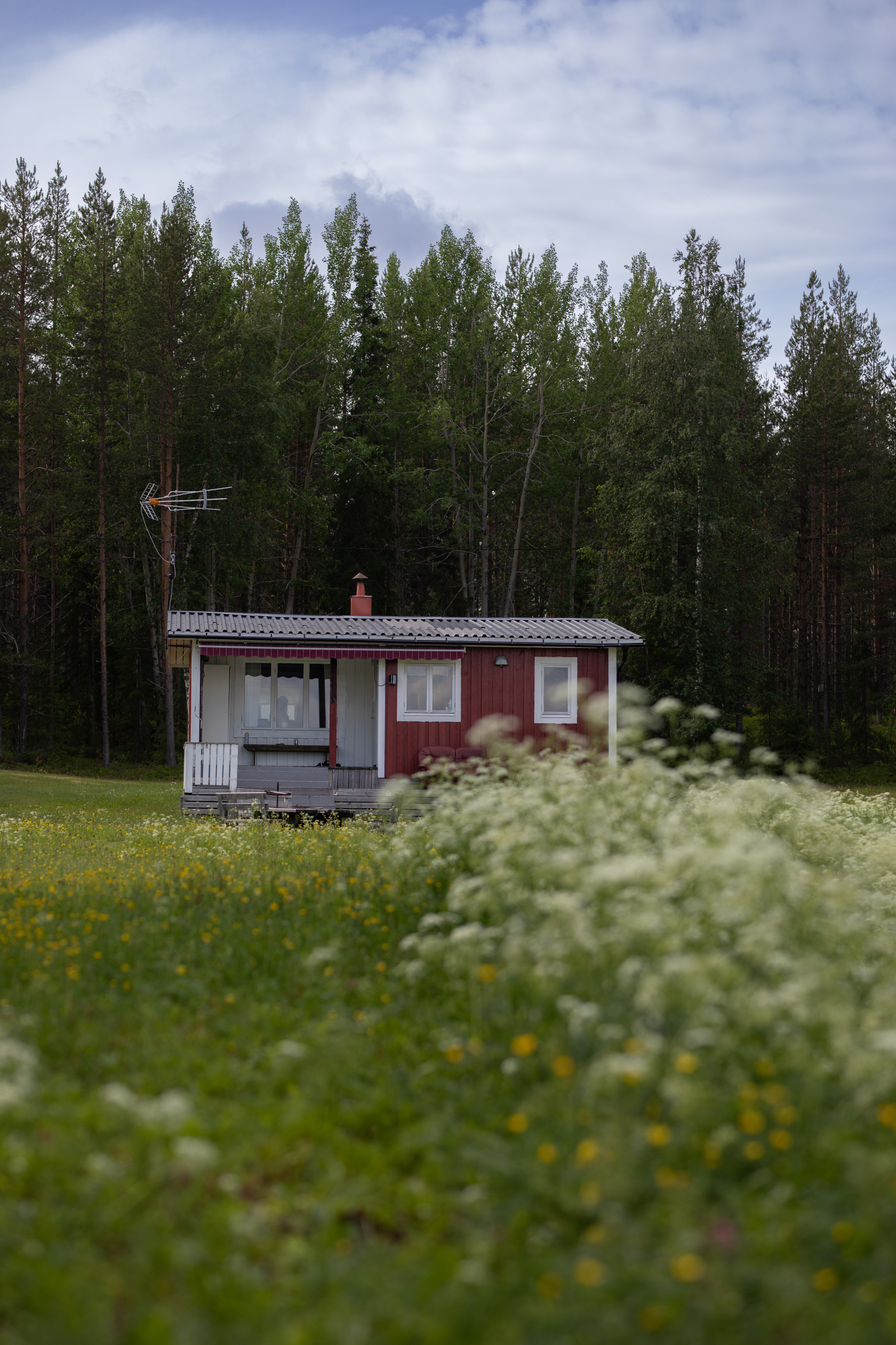 Sweden estate
