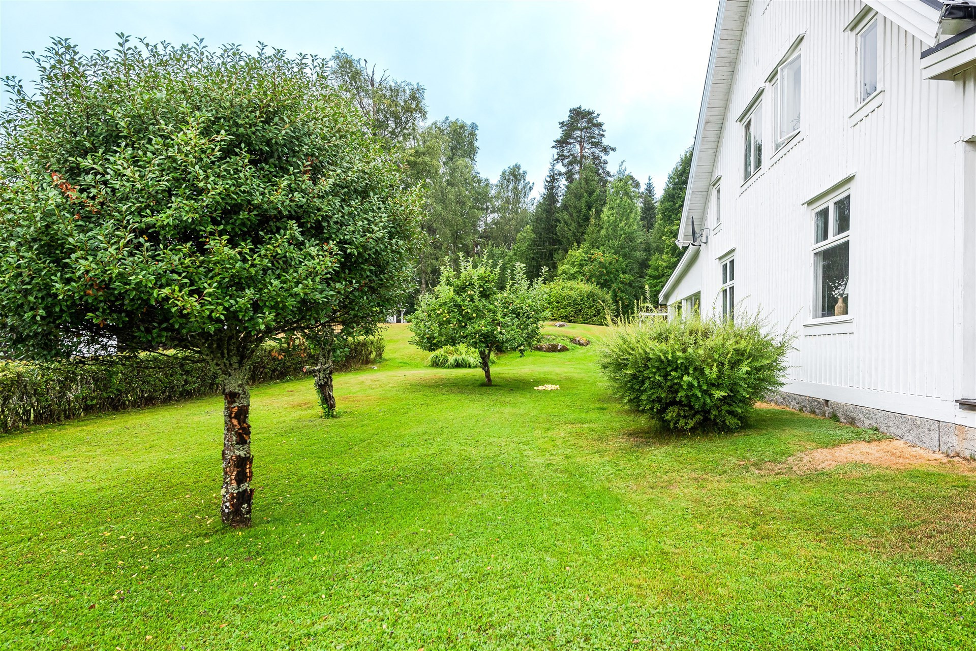 Sweden estate