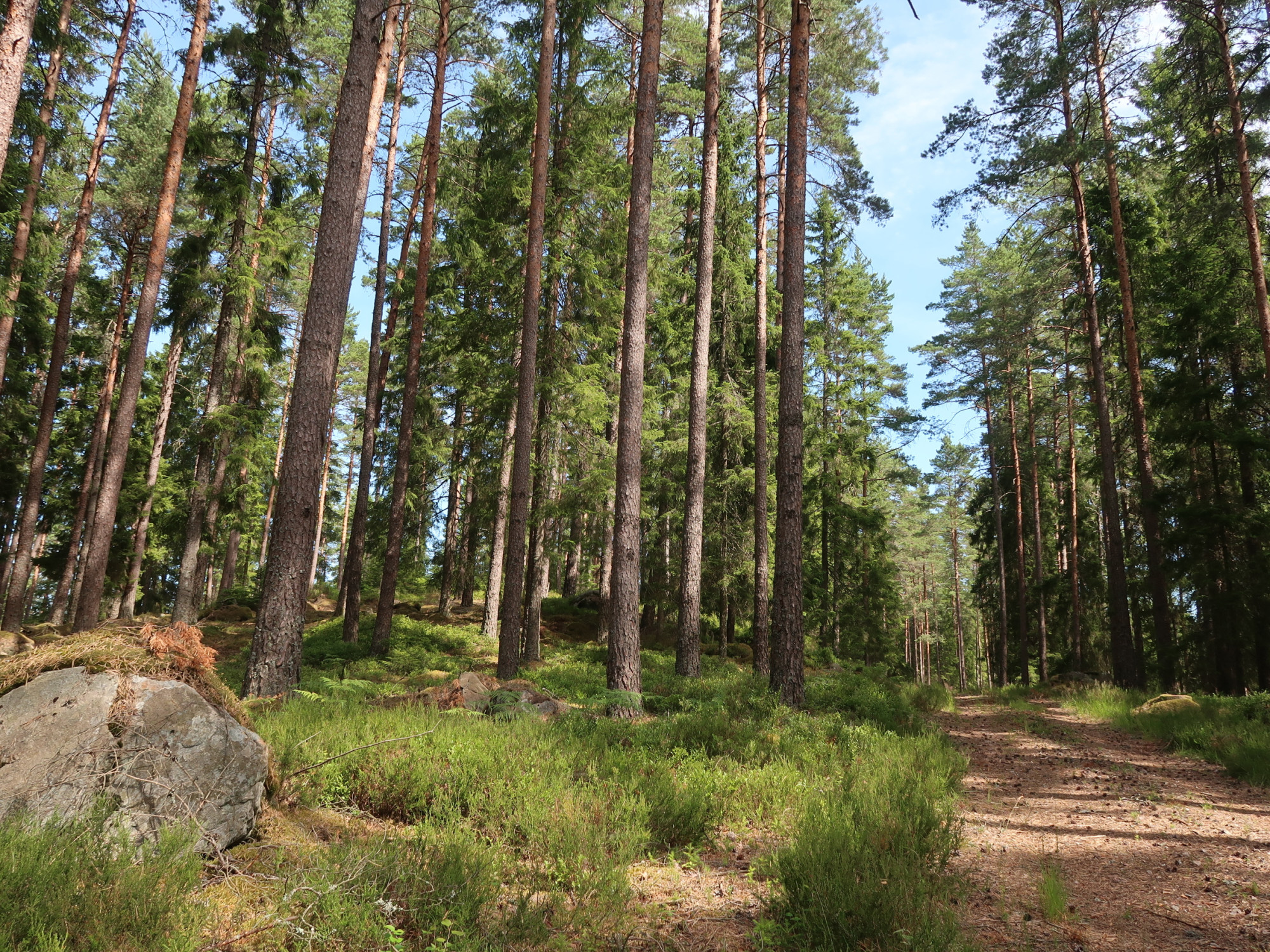 Sweden estate