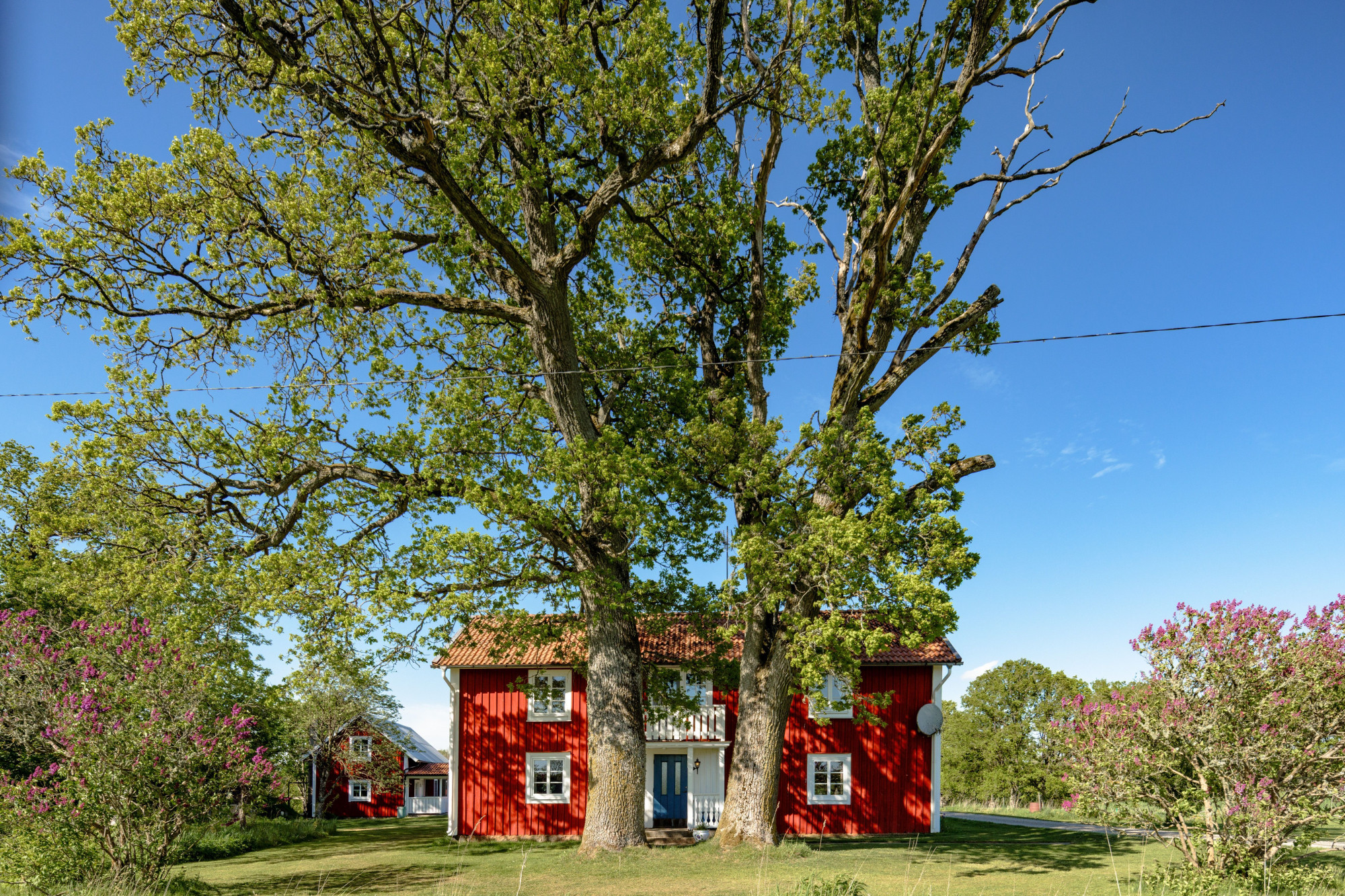Sweden estate