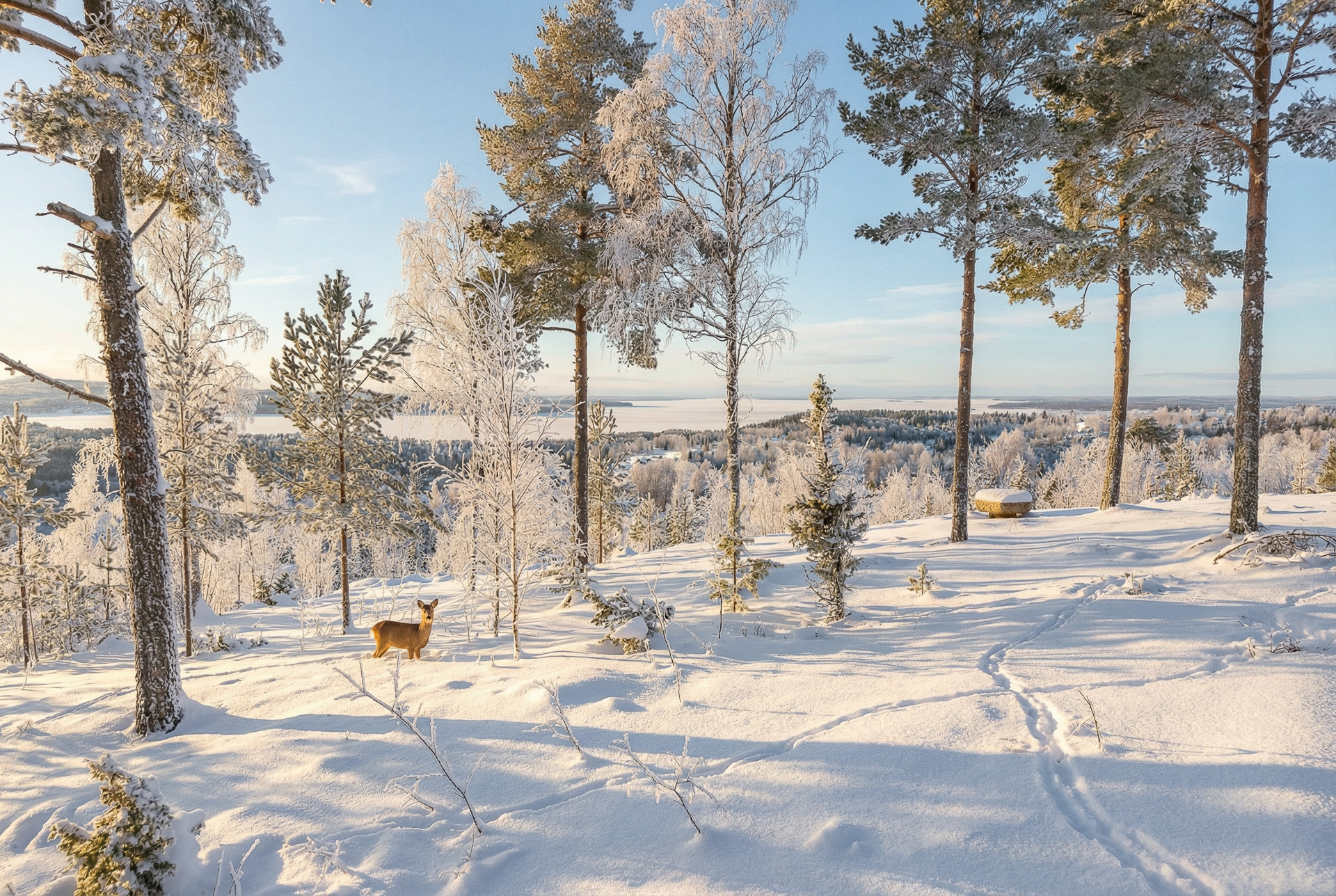 Sweden estate