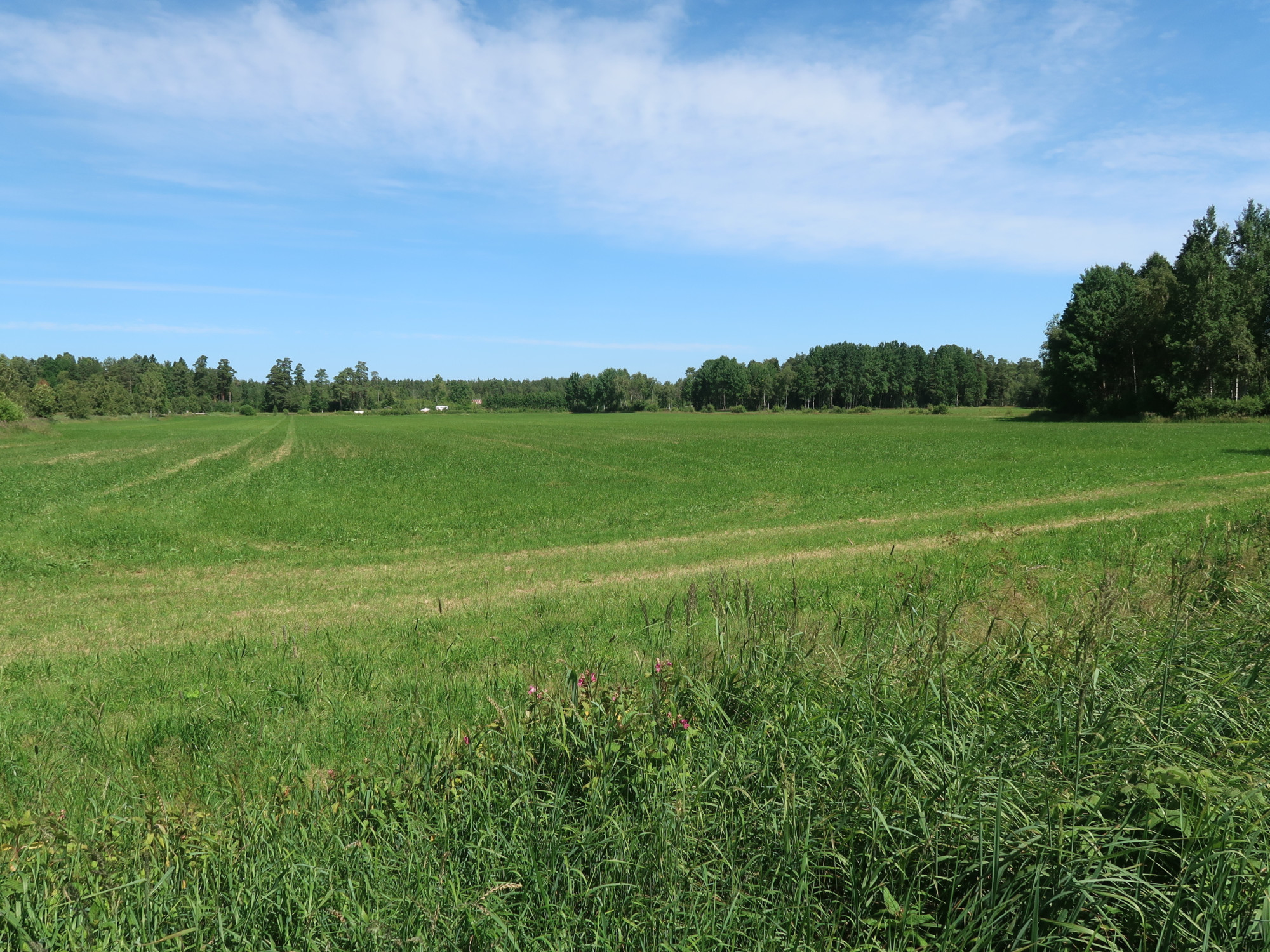 Sweden estate