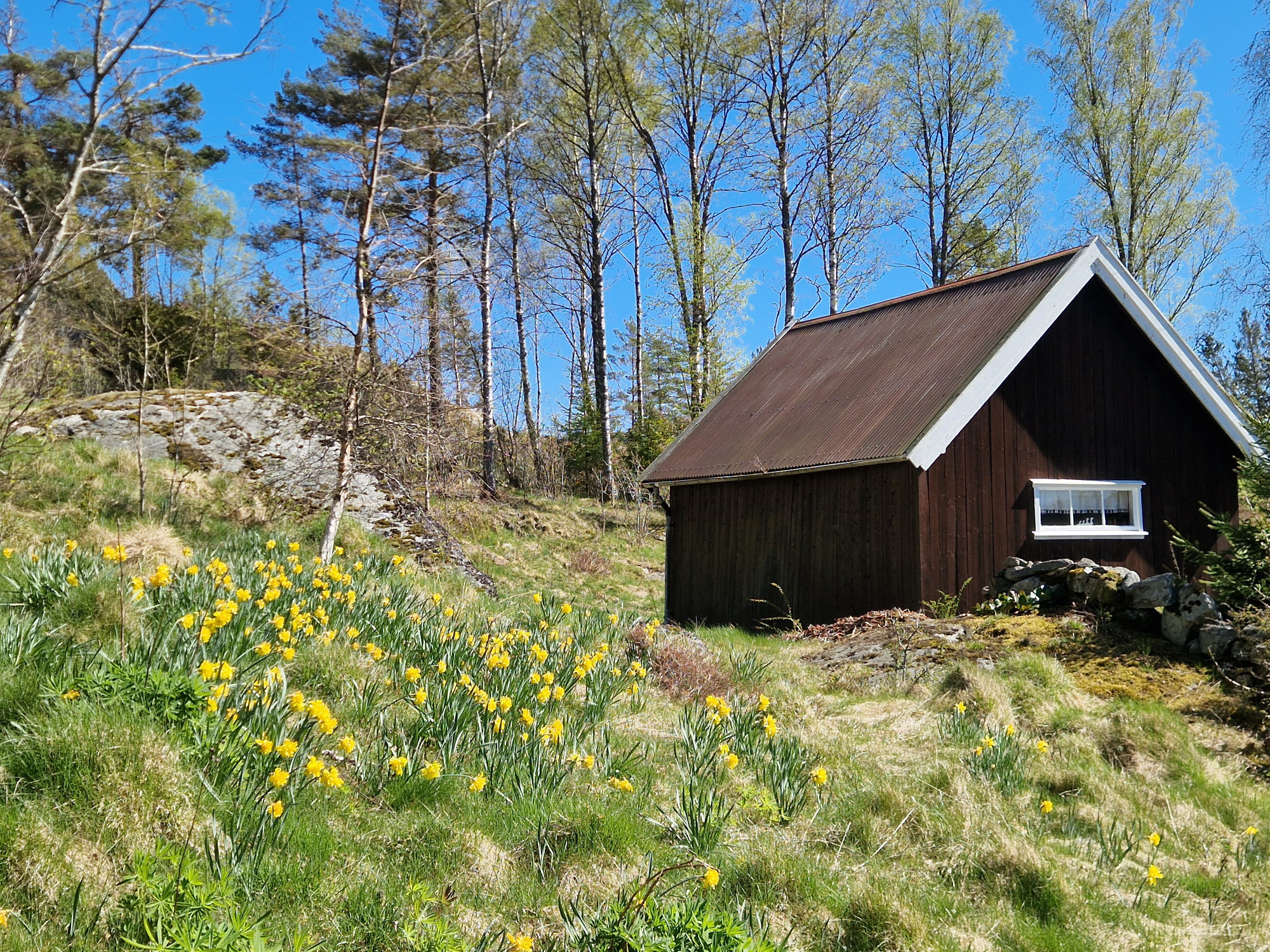 Sweden estate