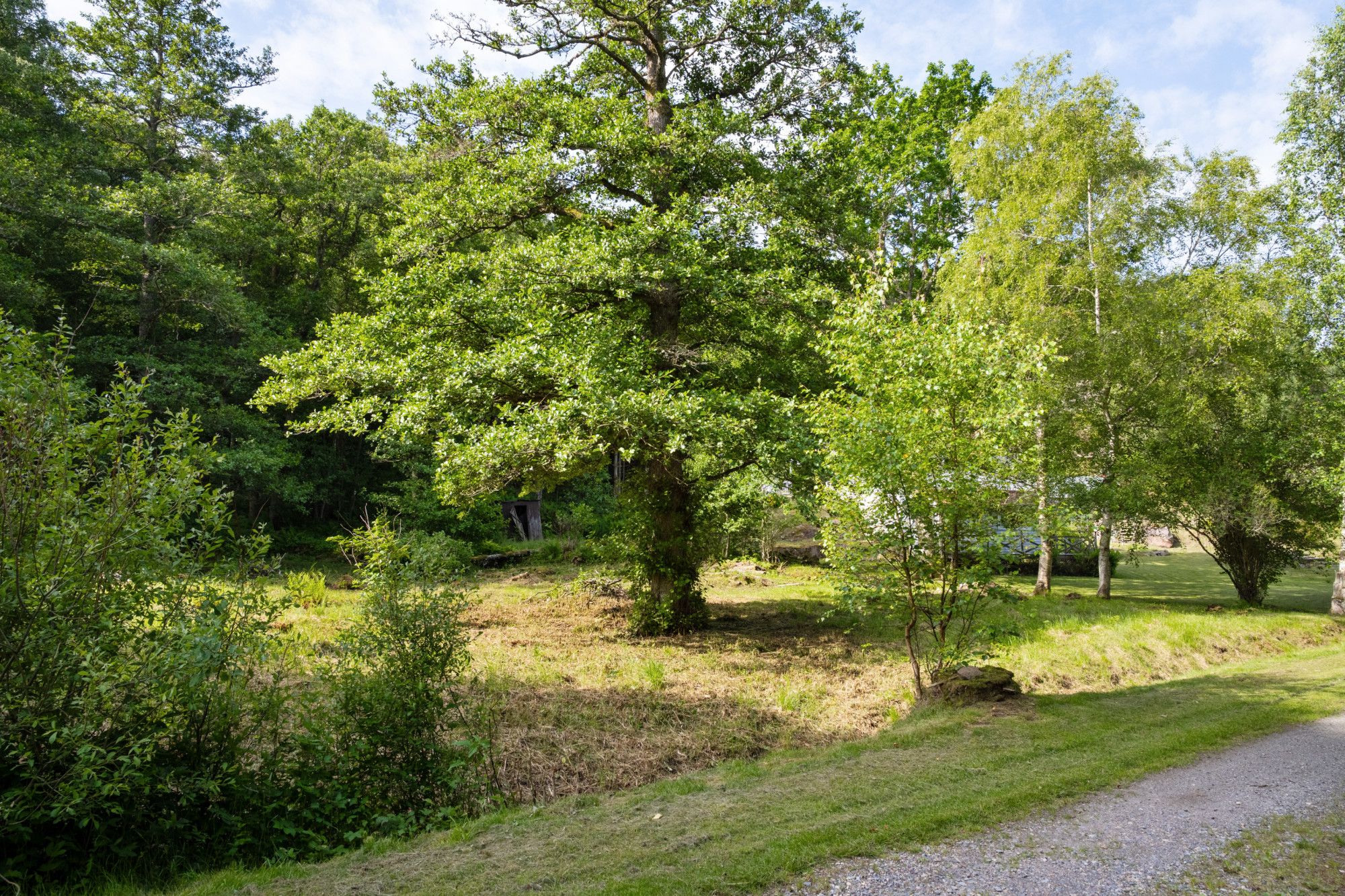 Sweden estate